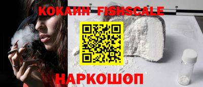 индика Кингисепп
