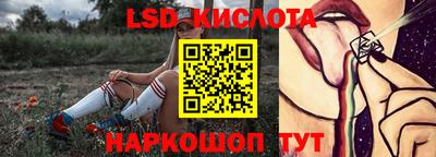 индика Кингисепп
