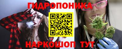 крисы Кинель