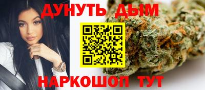 индика Кингисепп