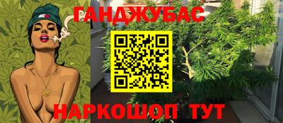 индика Кингисепп