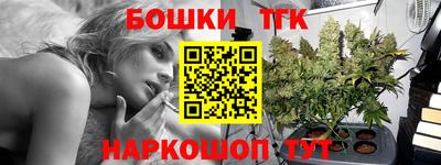 индика Кингисепп
