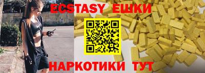 индика Кингисепп