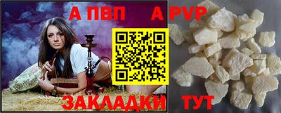 индика Кингисепп