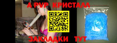 индика Кингисепп