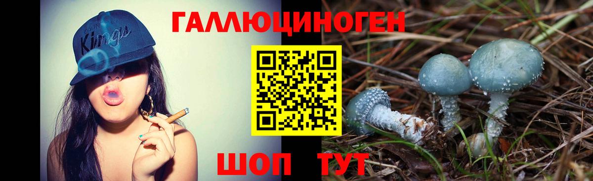 Фролово  Псилоцибиновые грибы мухоморы  Псилоцибиновые грибы прущие грибы  сколько стоит  Вход с VPN 